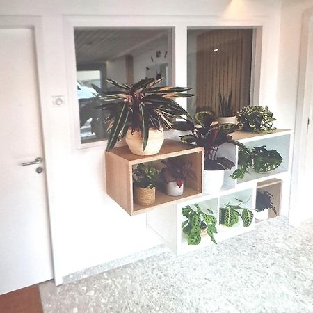 Moderne F3 - 10 Min Aeroport Cdg - Paris - Parc Asterix - Disneyland Paris - Tour Eiffel - Champs Elysee - 15 Min Parc Des Expositions Villepinte - 10 Min Le Bourget - 5 Min Du Golf International De Roissy- Jo 2024 Le Thillay Bagian luar foto